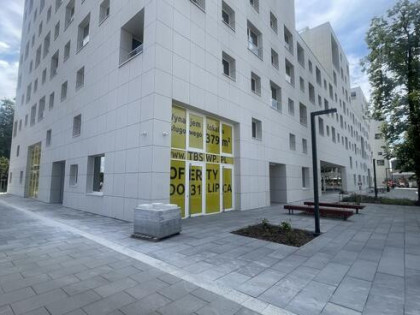 Lokal użytkowy na wynajem OFERTY DO 31.07.2026 r.