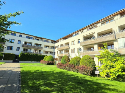 Apartament 3pok. Os. Magnolia 2007 r. I p., winda