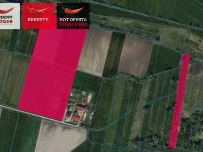 Działka Borki Lipkowskie ul.   Borki Lipkowskie