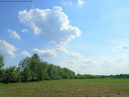 Działka wśród zieleni