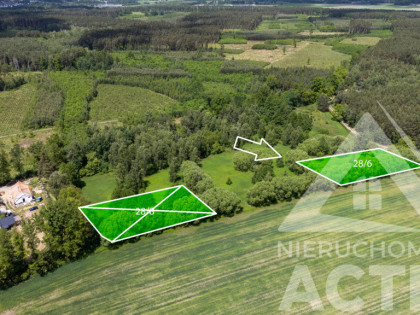 2988 m² z zadrzewieniem, blisko Jelcz i Oława