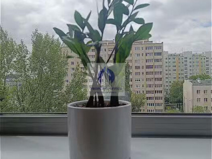 Lokal Warszawa Wola ul. Kasprzaka