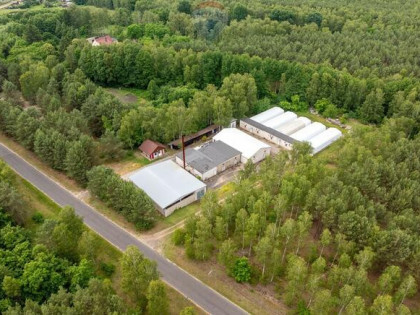 Miały, budynki, potencjał, MPZP usługi i produkcja