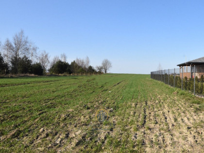Działka Kunów ul.  