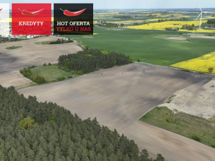 Działka Rajkowy ul. Jesionowa