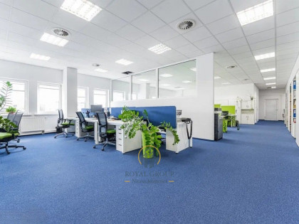 Lokal Lublin ul. Wolska