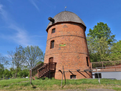 Lokal użytkowy Grodków, Krakowska