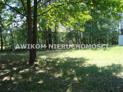 Działka Żelechów gm. Żabia Wola