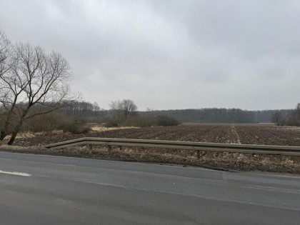 Syndyk sprzeda 1/2 udziału w prawie własności nieruchomości