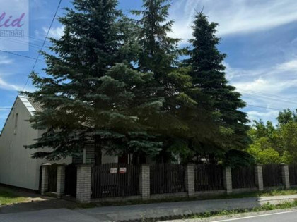 Urokliwe siedlisko pod Gostyninem