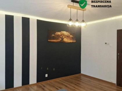 2 pokoje z ogródkiem i dużą piwnicą