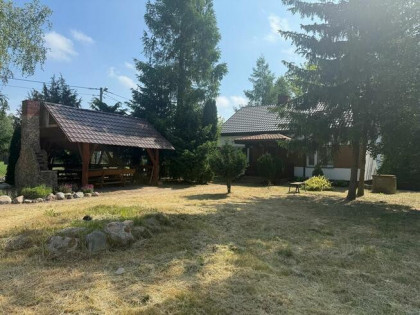 Siedlisko zatopione w zieleni drzew i 12 ha ziemi