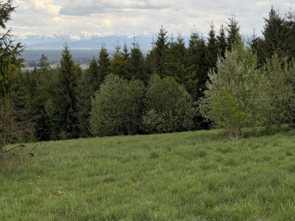 Sprzedam działkę budowlaną 8 arów