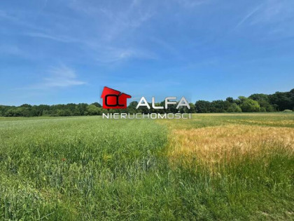 Działka rolno-budowlana Wierzbna gm. Żarów, Wierzbna