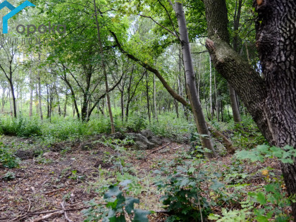 Działka Dąbrowa Górnicza ul. Siemońska
