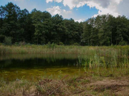Piękna działka koło lasu z własnym jeziorkiem |