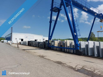 Teren inwestycyjny 2,56 ha z halami produkcyjnymi | Frysztak