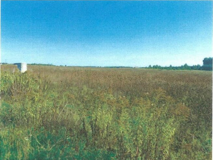 nieruchomość, Łódź - Widzew
