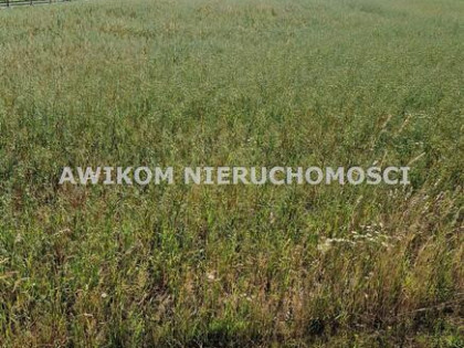 Działka Jaktorów Budy Zosine
