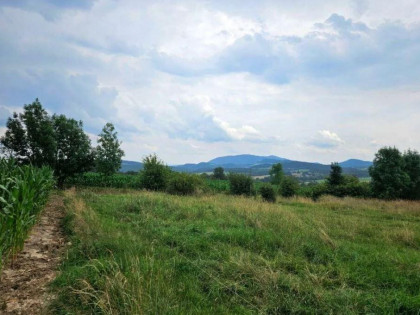 Działka Puńców