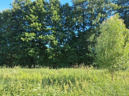 DZIAŁKA Z WARUNKAMI ZABUDOWY POD NOWYM TOMYŚLEM --> GLINNO