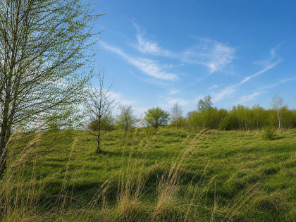 Działka Szczerbice