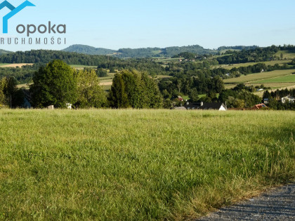 Działka Puńców