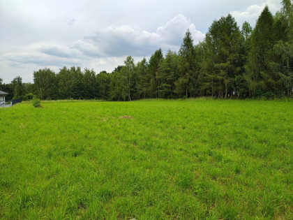Działka Wodzisław Śląski