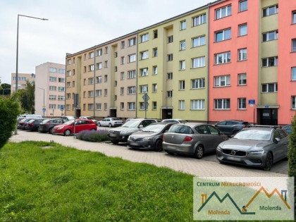 Mieszkanie Lwówek Śląski