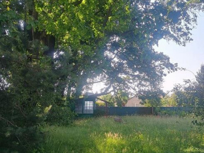 Działka własnościowa 15a z lasem i domkiem | Blisko Bielska