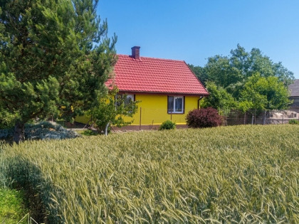 Siedlisko - dom, staw i budynki gospodarcze