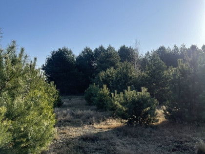 Idealne miejsce na dom,6241 m² blisko lasu i rzeki