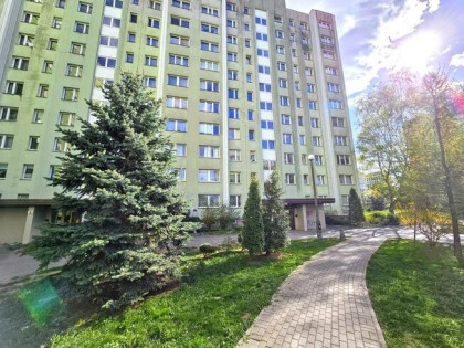 Świeżo po remoncie ciche mieszkanie / trzy pokoje / oddzielna kuchnia.