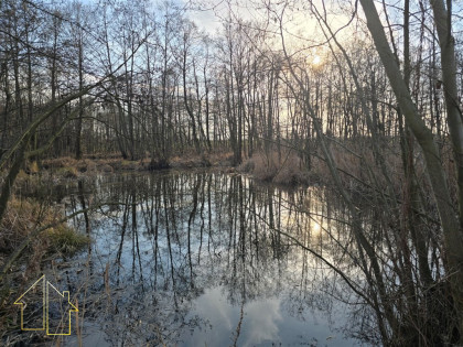 Działka z własnym stawem