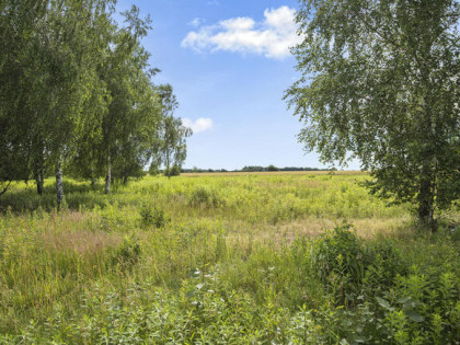 ✅ Urokliwa działka 3000 m² z WZ pod dom ✅