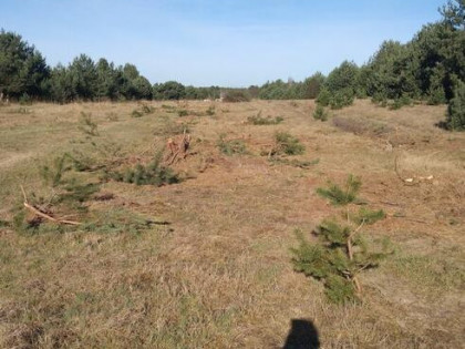 działka rolna, budowlana, reakracyina