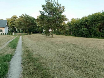 Na sprzedaż działka budowlana 1537 m2 Łochowie