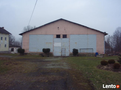 Sprzedam działkę 1,39ha, zabudowaną ,użytkowanie wieczyste.