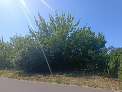Działka budowlana 1000 m² w cichej okolicy
