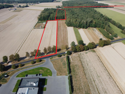 Działka Gołąbki