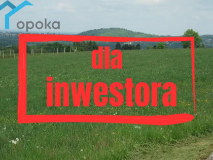 Działka Ustroń ul. Lipowska