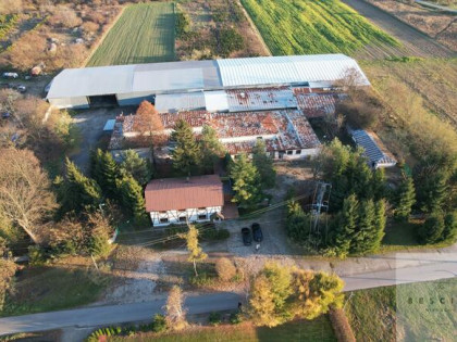 Lokal użytkowy Świebodzin gm. Pleśna