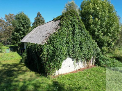 Działka budowlana Tarnów, Czajki