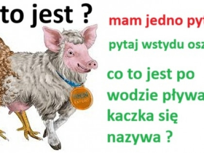 PRAWDA !!!  nie Rosyjska -POLSKA KRUCZA 78 Wrocław   ?️ WROCŁAWSKI TWISTER CYKLON: MANIFEST O PRAWDZIE, KAMIENICY I KRESACH ŚWIATAPieśń I: Inwokacja Krzycka i Prawda o SchronieWrocławiu! Krzyki moje!
