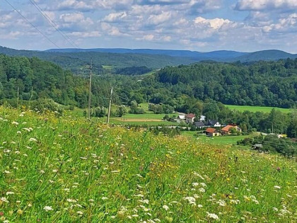 Działka rolno-rekreacyjna 1,59 ha – Nowosiółki, gmina Baligr