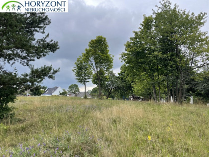 Nowa Wieś Przywidzka- dz. z panoramicznym widokiem