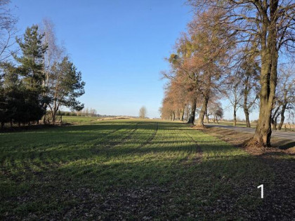 Działka budowlana w Strupinie Małym