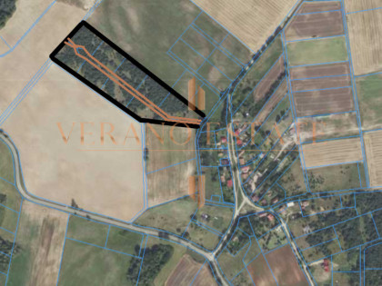 DZIAŁKI NA WARMII I MAZURACH – MIEJSCE, W KTÓRYM C