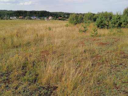 Koleczkowo - działki budowlane