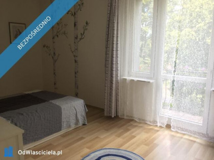 Enklawa zieleni w centrum